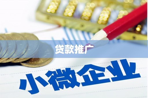 石龙贷款推广