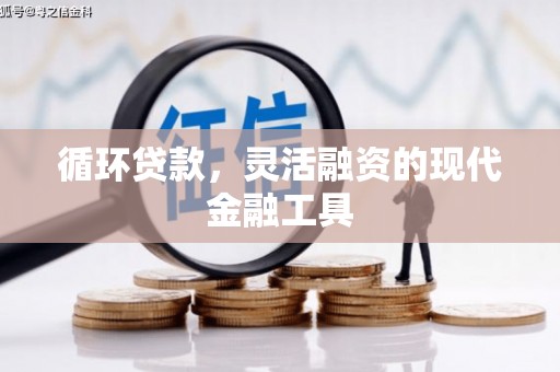 来宾循环贷款，灵活融资的现代金融工具