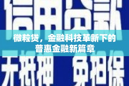平乐微粒贷，金融科技革新下的普惠金融新篇章