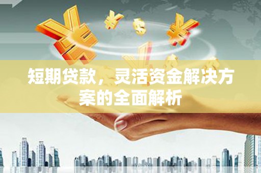 汕尾短期贷款，灵活资金解决方案的全面解析