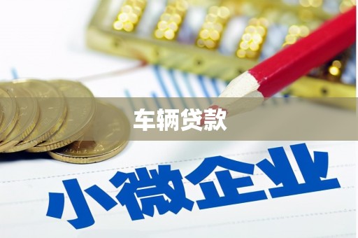 新龙车辆贷款