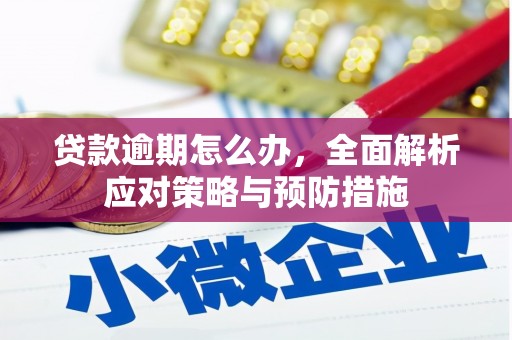 雨花贷款逾期怎么办，全面解析应对策略与预防措施