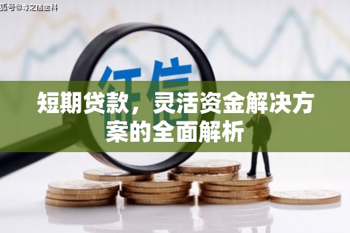 大堂短期贷款，灵活资金解决方案的全面解析