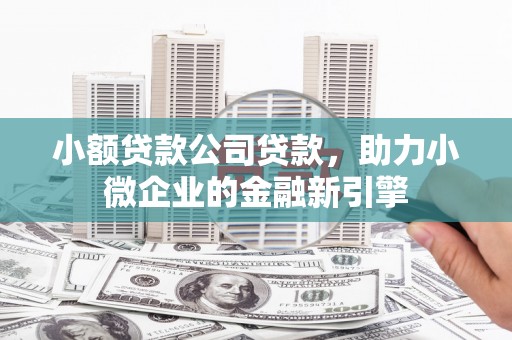 万载小额贷款公司贷款，助力小微企业的金融新引擎