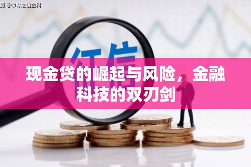 曲靖现金贷的崛起与风险，金融科技的双刃剑