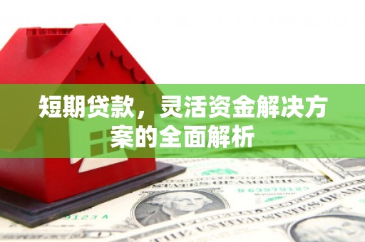 洋县短期贷款，灵活资金解决方案的全面解析