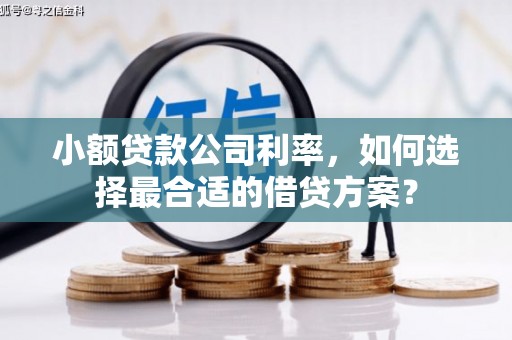济宁小额贷款公司利率，如何选择最合适的借贷方案？