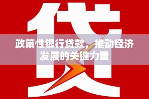 碌曲政策性银行贷款，推动经济发展的关键力量