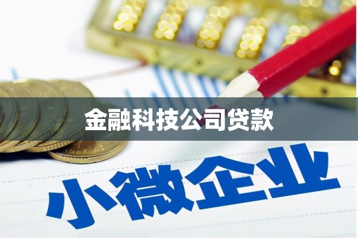 临澧金融科技公司贷款