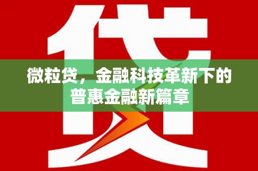 揭阳微粒贷，金融科技革新下的普惠金融新篇章