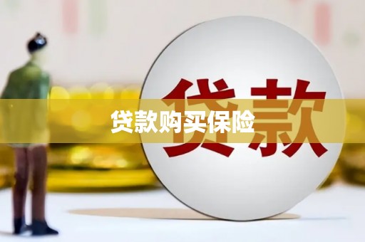 中区贷款购买保险