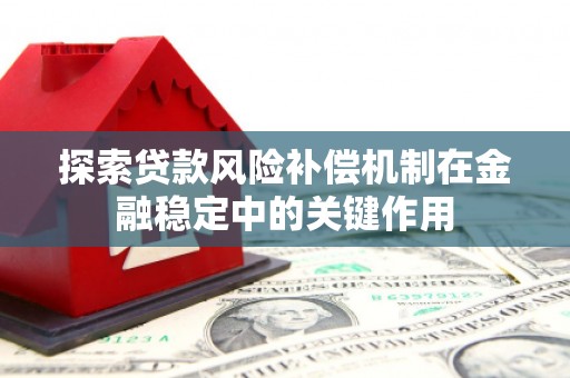 新埤探索贷款风险补偿机制在金融稳定中的关键作用