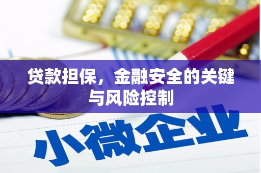 卫东贷款担保，金融安全的关键与风险控制