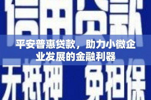 虾峙平安普惠贷款，助力小微企业发展的金融利器