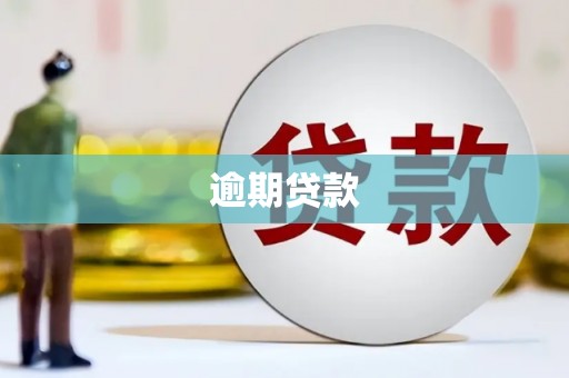 柳东逾期贷款
