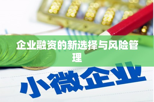 靖西企业融资的新选择与风险管理
