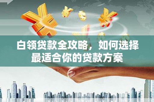 杂多白领贷款全攻略，如何选择最适合你的贷款方案
