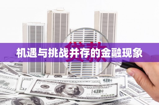 嘉禾机遇与挑战并存的金融现象