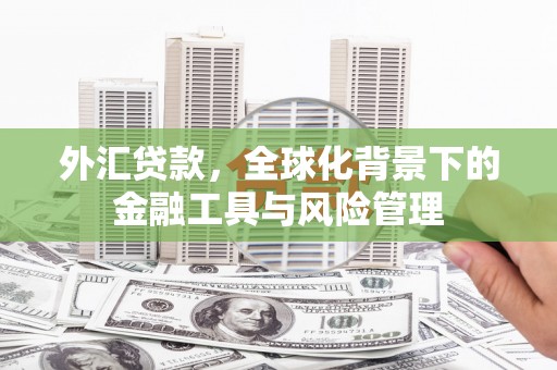 铜仁外汇贷款，全球化背景下的金融工具与风险管理
