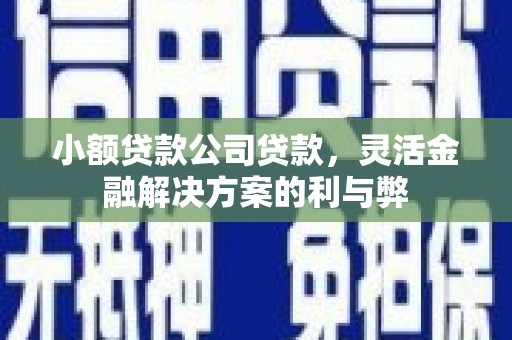 大兴安岭小额贷款公司贷款，灵活金融解决方案的利与弊